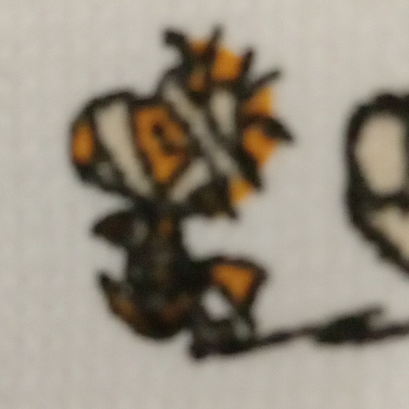 Rae Dunn  Peanuts Towel Halloween - Picture 6 of 6